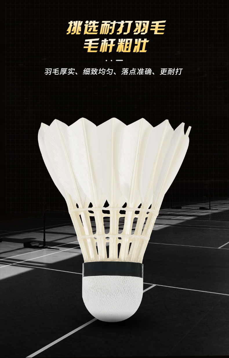 Neue 12 Stück profession elle  – Badminton Bwf Bewertung und Preis