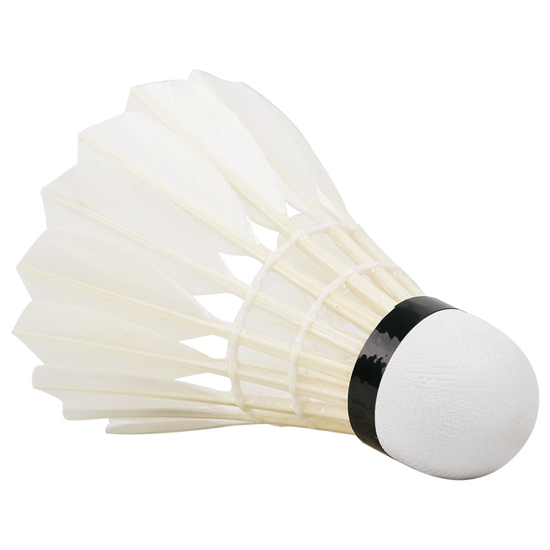 Neue 12 Stück profession elle  – Badminton Bwf Bewertung und Preis