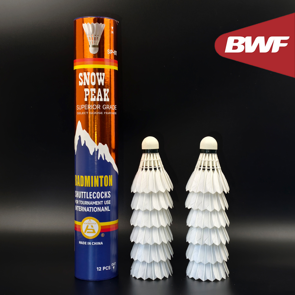 SP-01 Professionelle Turnier-Q – Badminton Bwf Bewertung und Preis