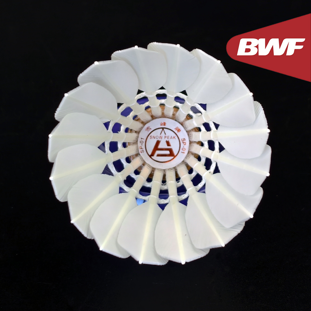 SP-01 Professionelle Turnier-Q – Badminton Bwf Bewertung und Preis