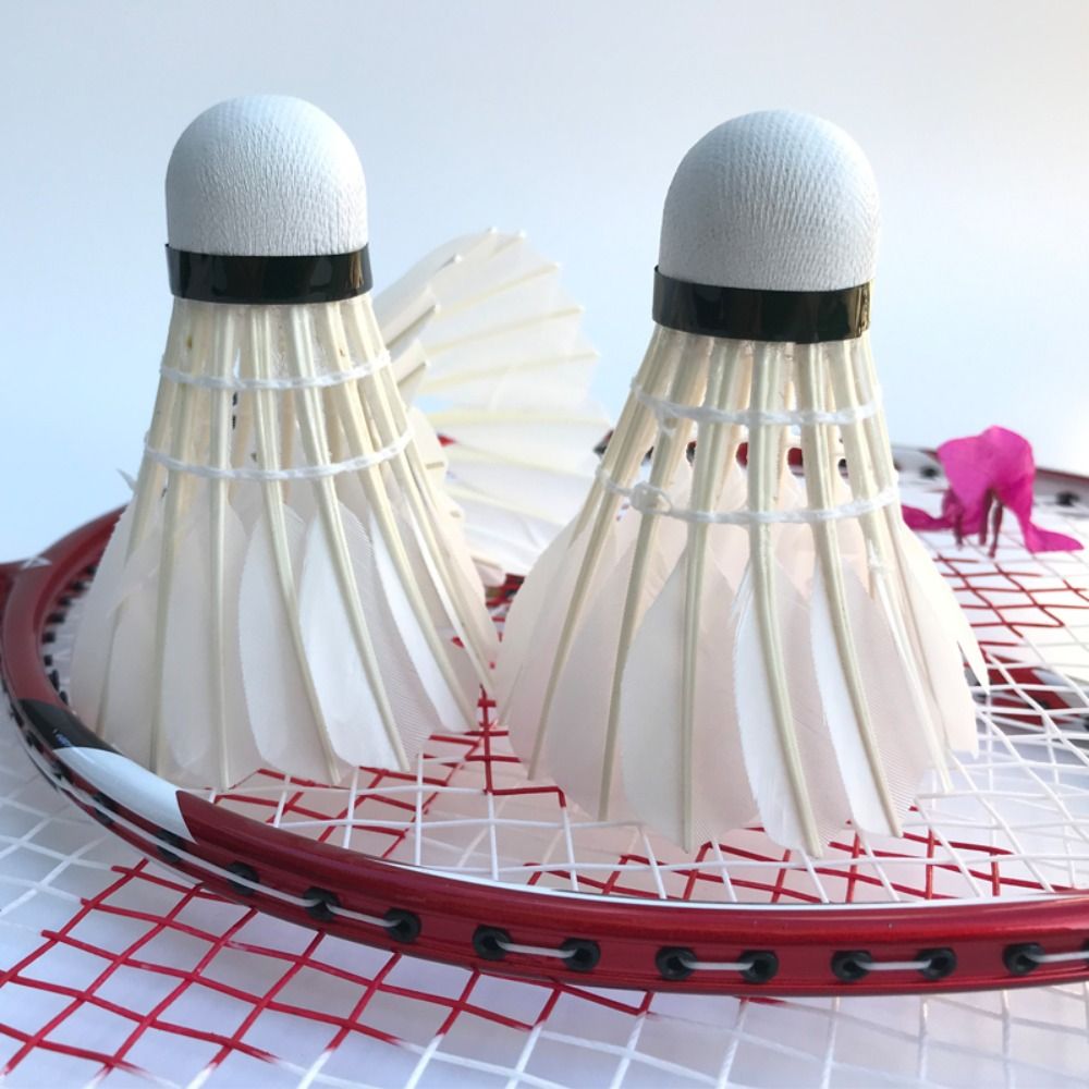 3/6/12Pcs Neue Weiß Badminton  – Badminton Bwf Bewertung und Preis